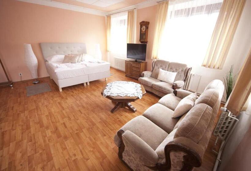 פנסיון U Heligonky