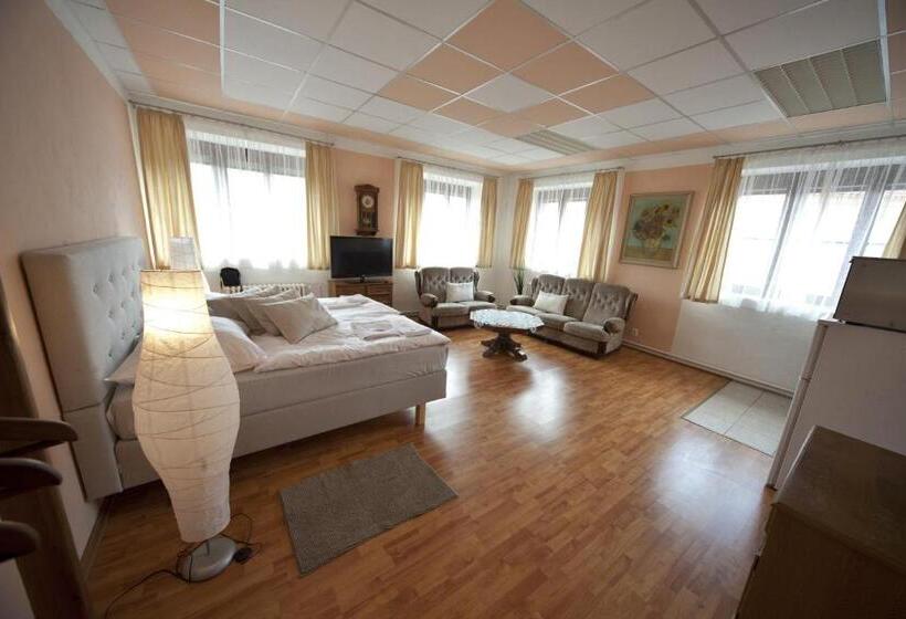 פנסיון U Heligonky