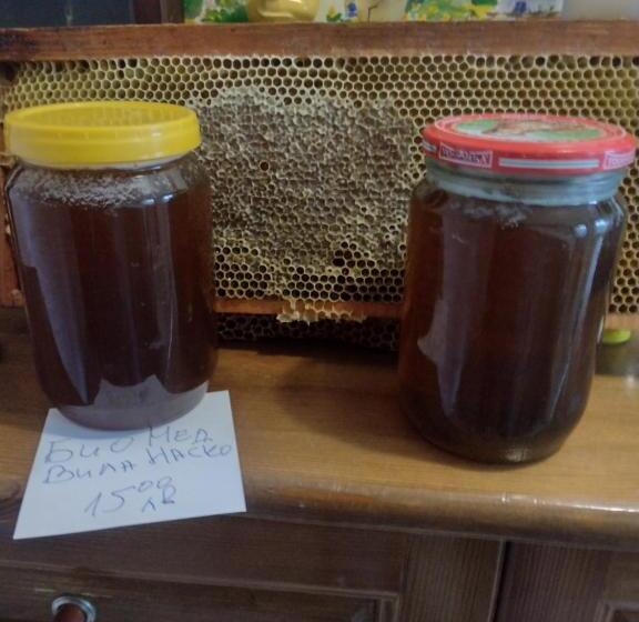 פנסיון Villa Nasco