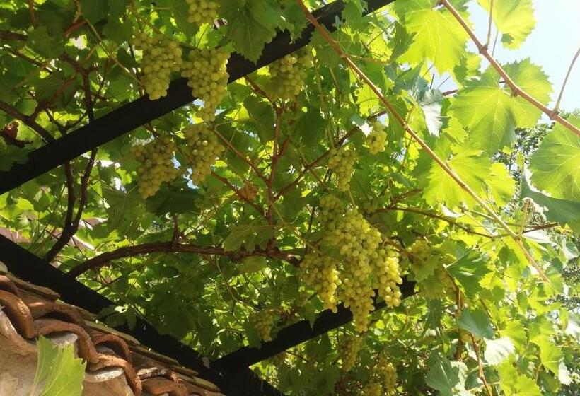 פנסיון Villa Nasco