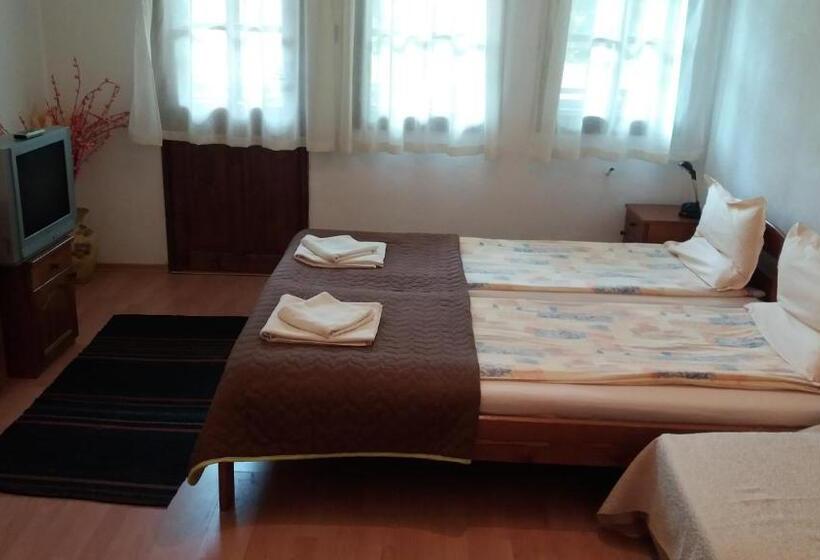 פנסיון Villa Nasco