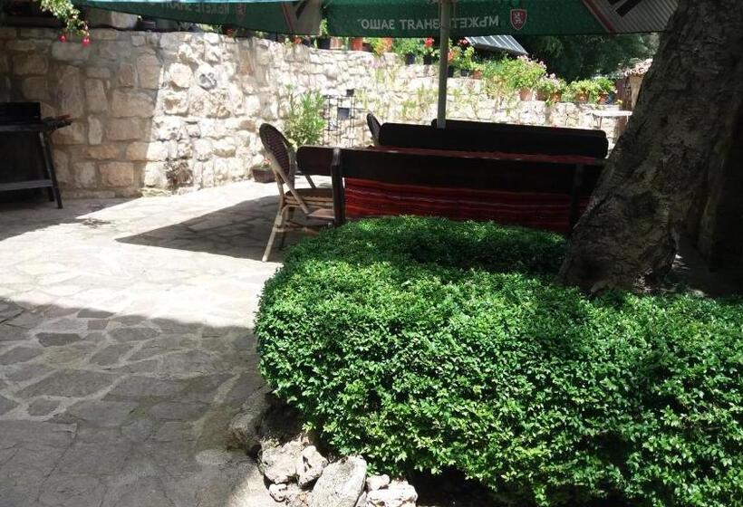 פנסיון Villa Nasco