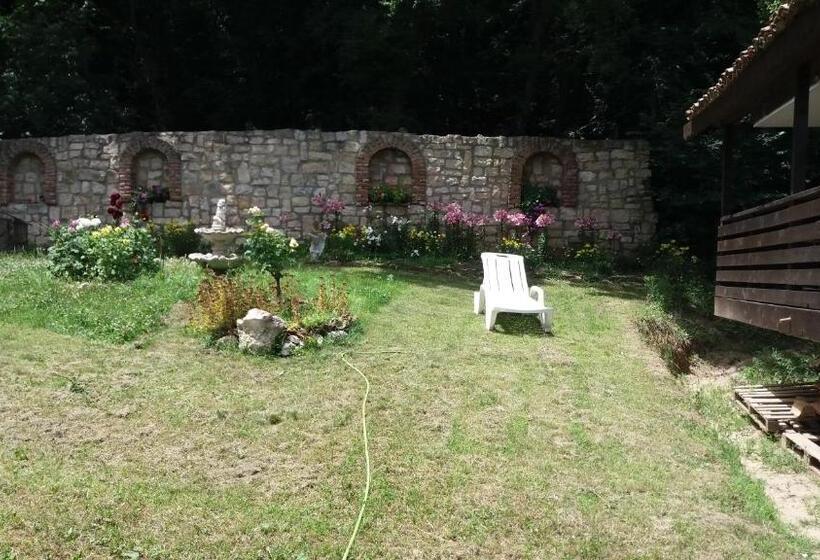 פנסיון Villa Nasco