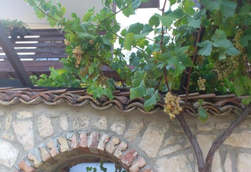 פנסיון Villa Nasco