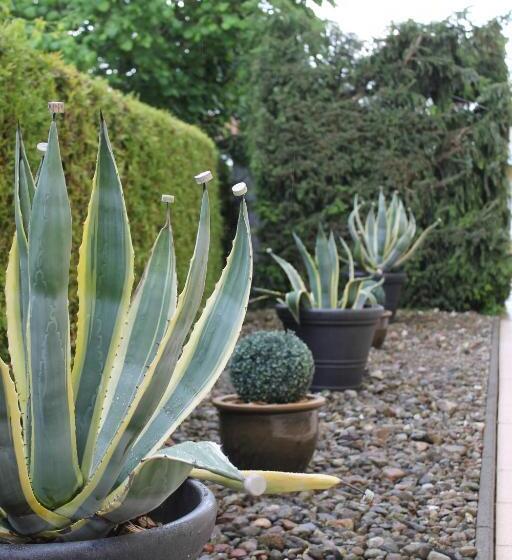 Pension Villa Transvaal