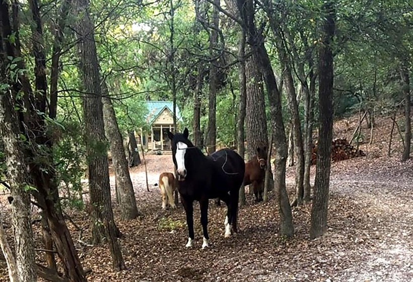 Общежитие Country Woods Inn