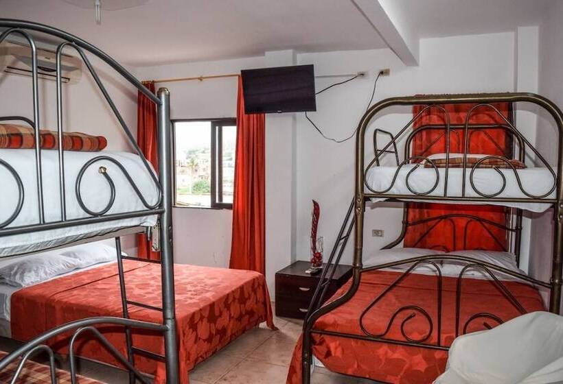 فندق صغير Hostal Humpback Internacional