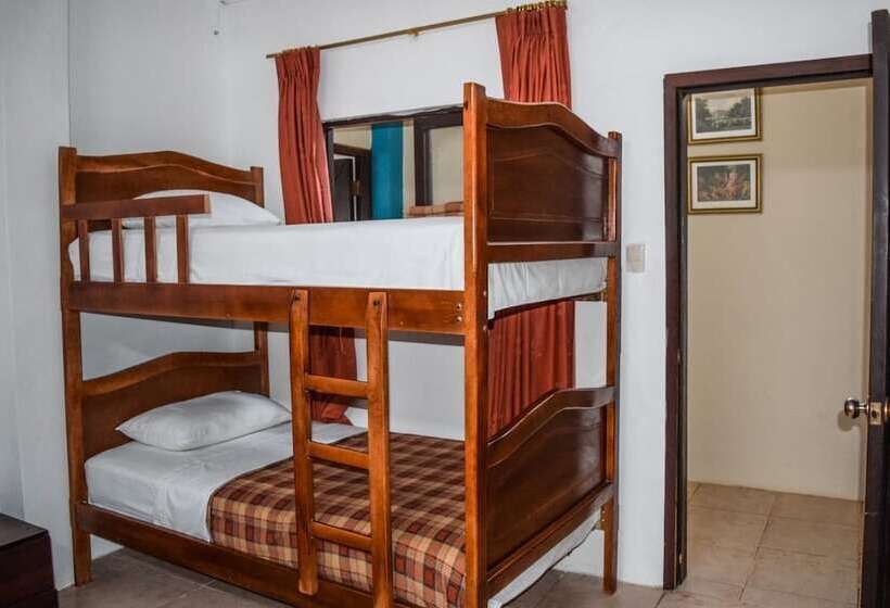 هاستل Hostal Humpback Internacional