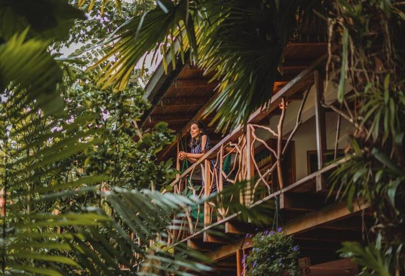 فندق صغير Hostal Las Palmas