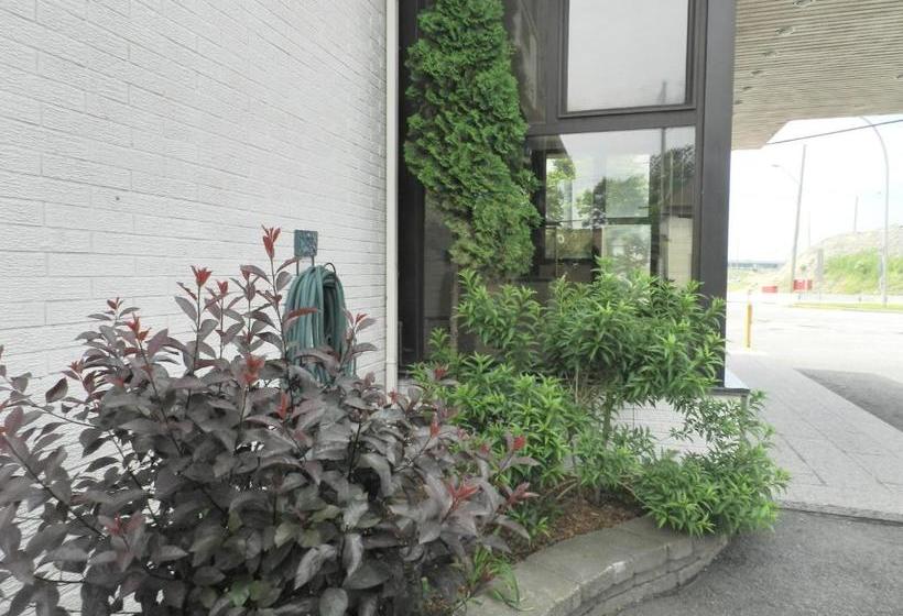 ユースホステル L'auberge De L'aeroport Inn