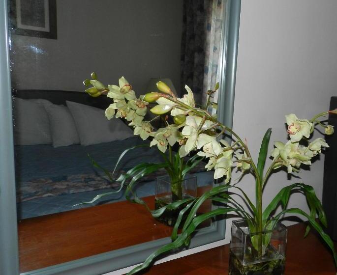 ユースホステル L'auberge De L'aeroport Inn