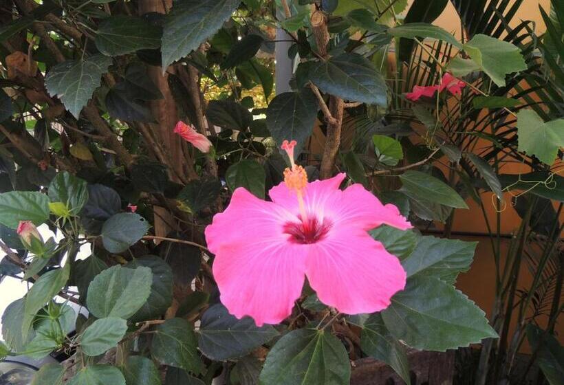 הוסטל Marinas Pousada