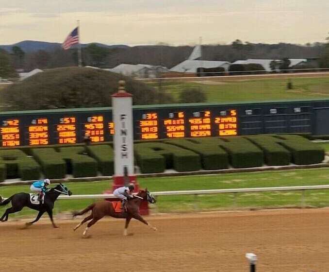 فندق صغير The Gables Inn