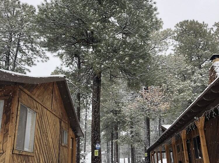 호스텔 Timberlodge Inn