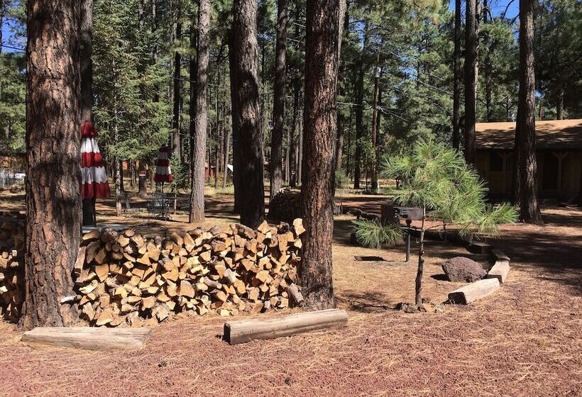 호스텔 Timberlodge Inn