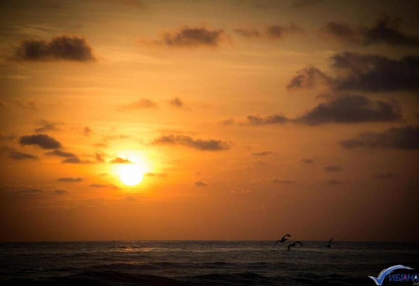 هاستل Viejamar B&b