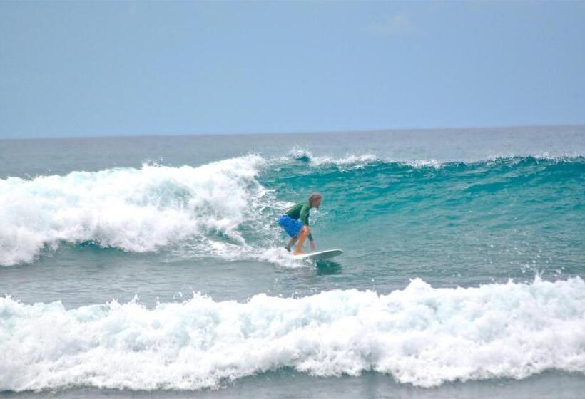 هاستل Viejamar B&b