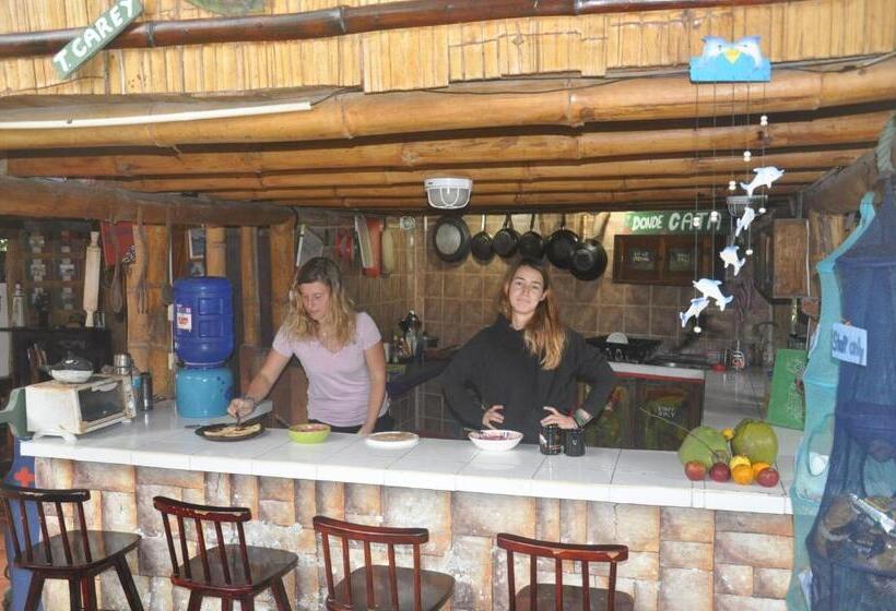 هاستل Viejamar B&b