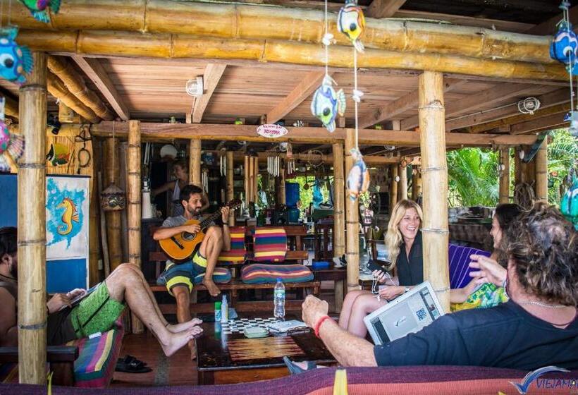 هاستل Viejamar B&b