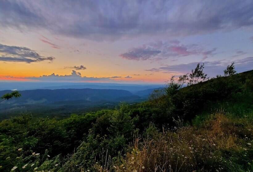 旅馆 Vine Cottage Inn