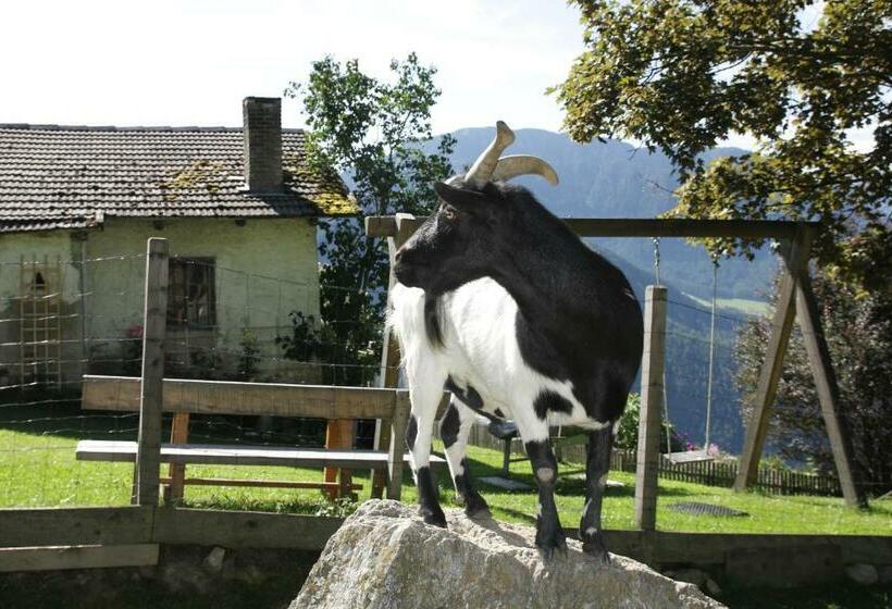 Gspoi Hof
