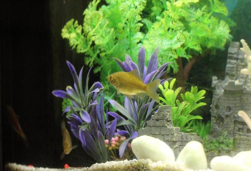 酒店 Agriturismo Aria Fina