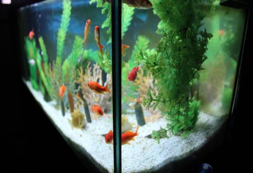 酒店 Agriturismo Aria Fina