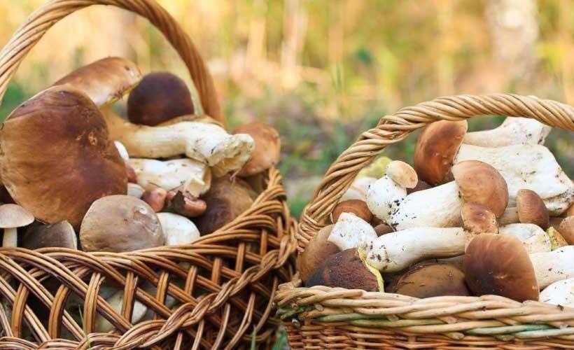 هتل Agriturismo Cannavota