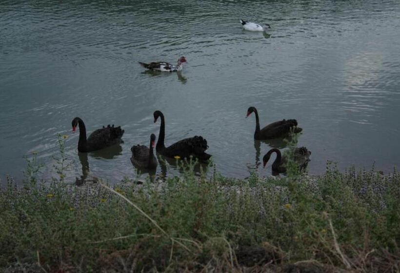 酒店 Agriturismo Il Daino