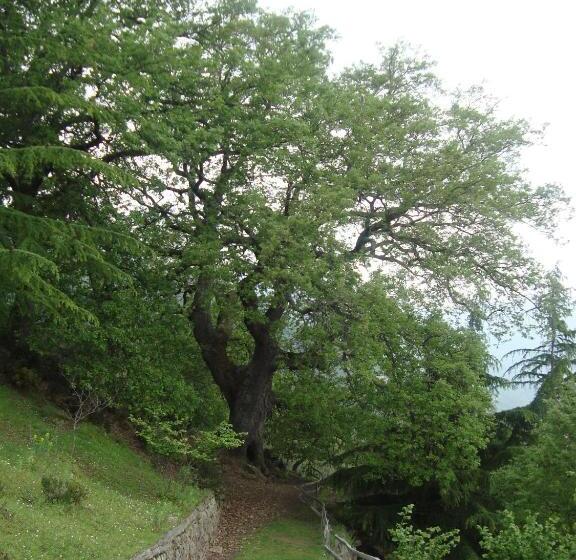 酒店 Agriturismo Il Daino