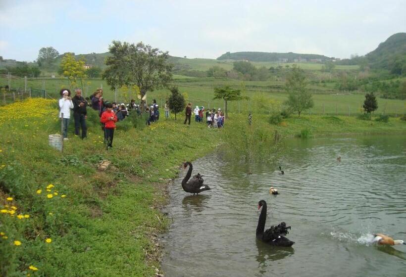 酒店 Agriturismo Il Daino