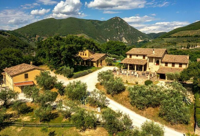 ホテル Agriturismo Le Vigne