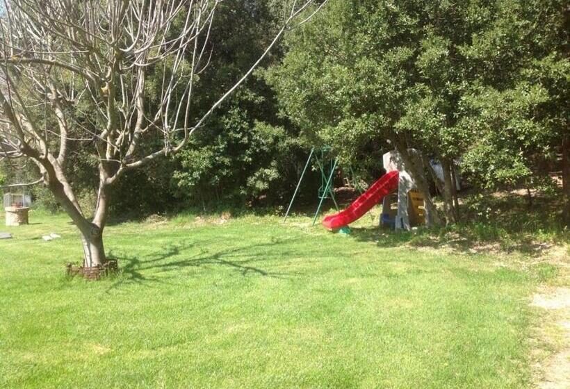 בית מלון כפרי Casa Verniano