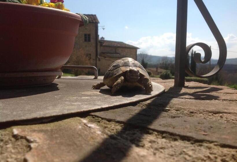 בית מלון כפרי Casa Verniano