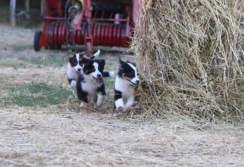 בית מלון כפרי Casa Verniano