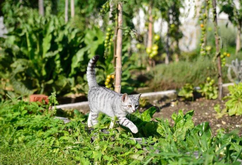 هتل Eco Tourist Farm Ravnjak