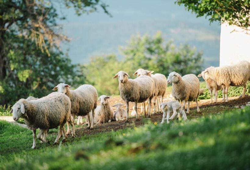 هتل Eco Tourist Farm Ravnjak