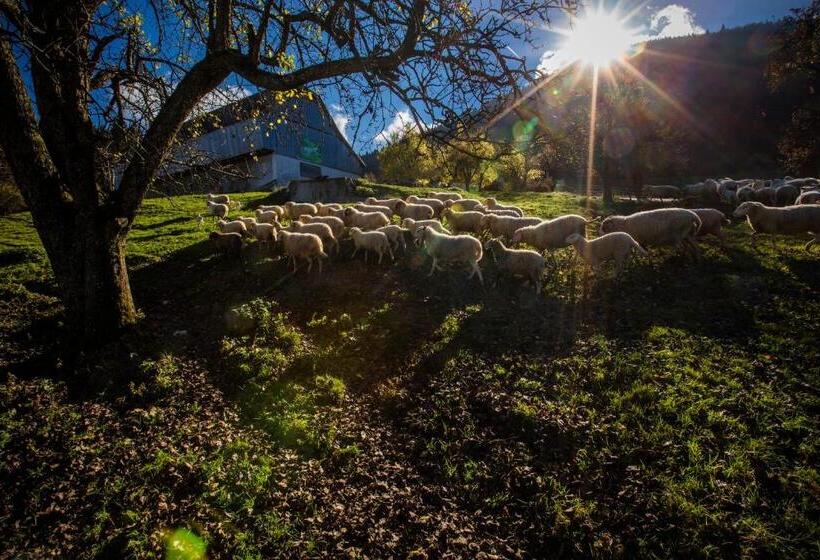 هتل Eco Tourist Farm Ravnjak