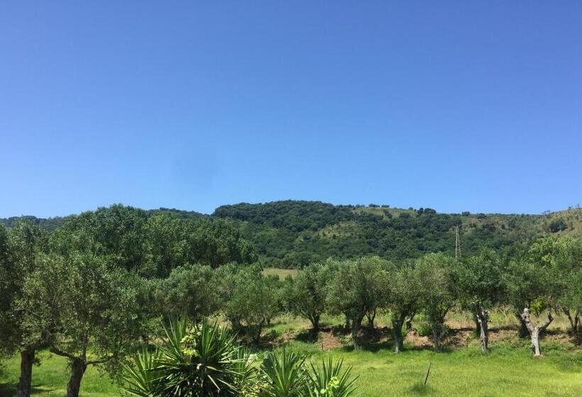 酒店 Il Borgo Sul Lago