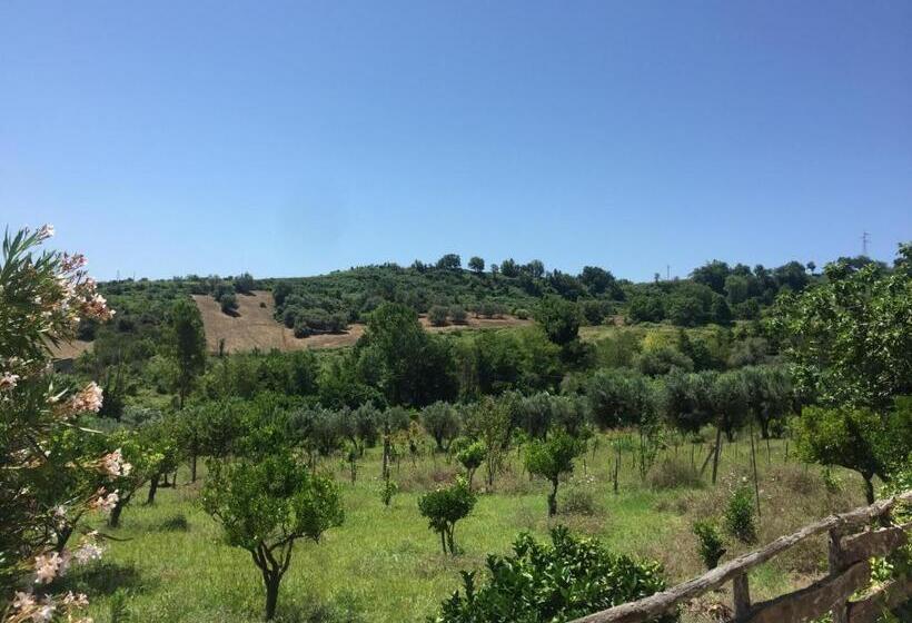 酒店 Il Borgo Sul Lago