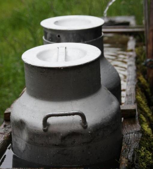 ホテル Kinderbauernhof