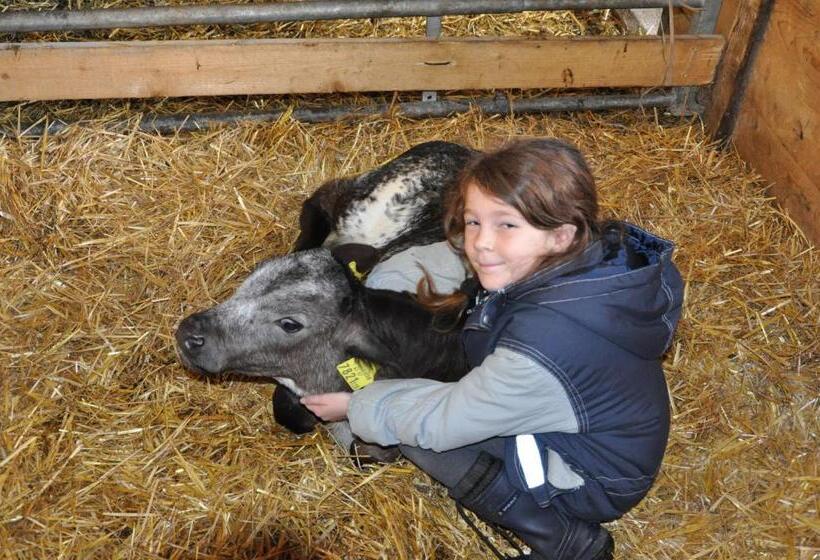 ホテル Kinderbauernhof