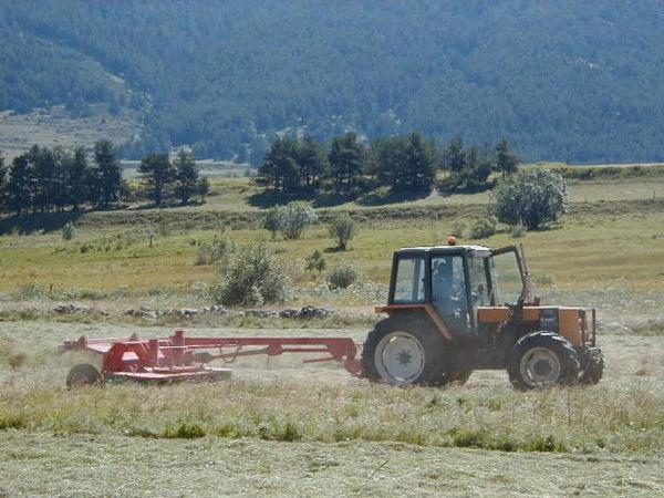 Отель Le Calmadou