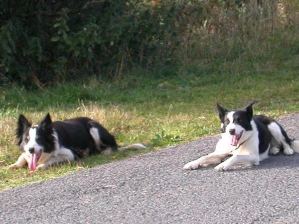 Отель Le Calmadou