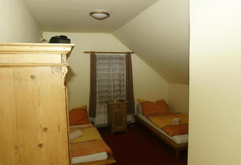 فندق U Zlateho Andela