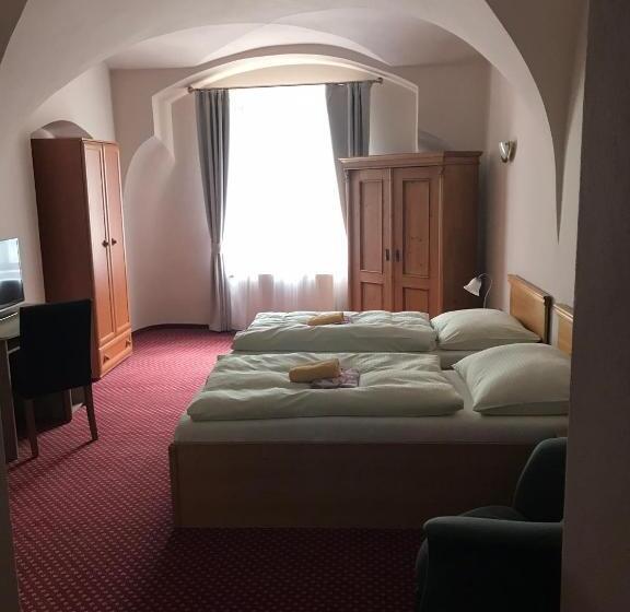 فندق U Zlateho Andela