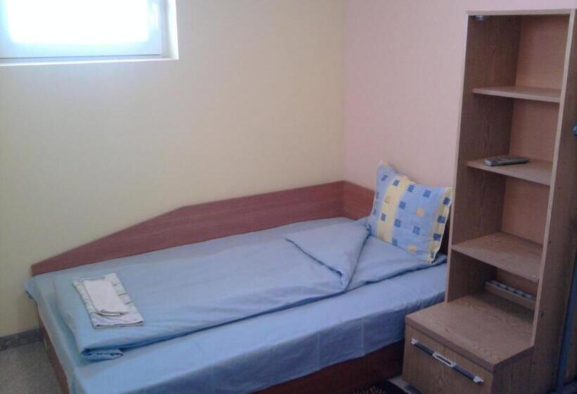 펜션 Aleks Guest House