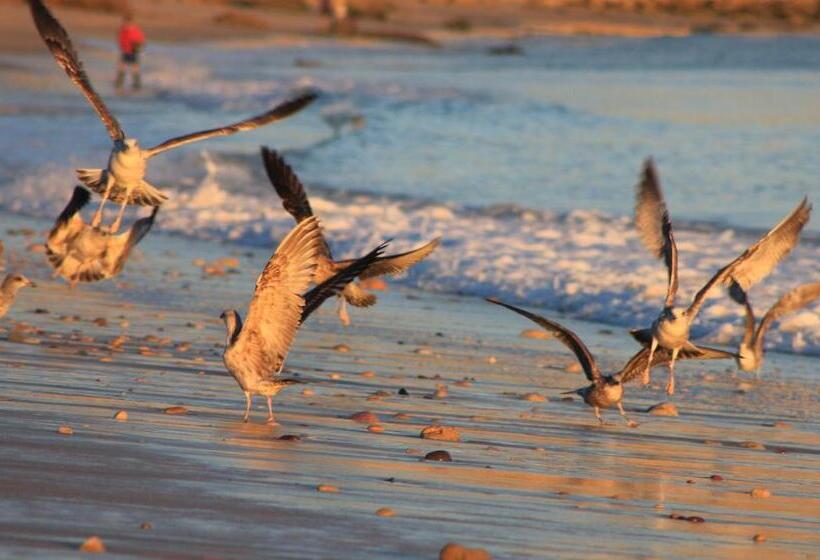 بنسيون Casa Praia Mar