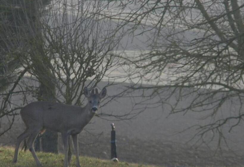 Пансион Chambres D'hôtes Le Loubet