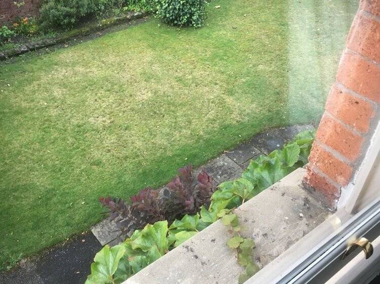 ペンション Cornerstones Guest House